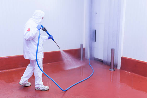 Best Playground Equipment Cleaning  in West Ack, NY